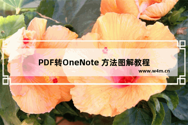 PDF转OneNote 方法图解教程