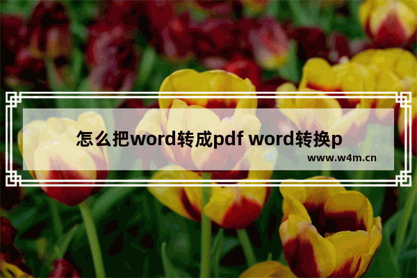 怎么把word转成pdf word转换pdf两种方法介绍