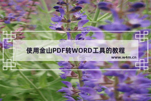 使用金山PDF转WORD工具的教程