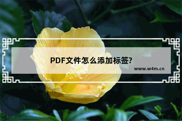 PDF文件怎么添加标签?