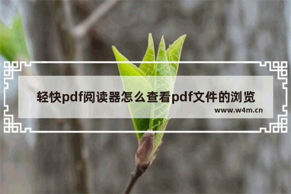 轻快pdf阅读器怎么查看pdf文件的浏览记录?