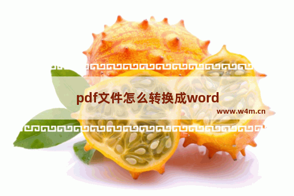 pdf文件怎么转换成word