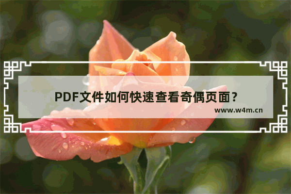 PDF文件如何快速查看奇偶页面？