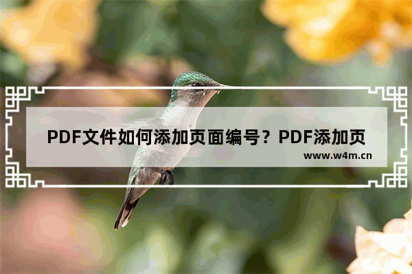 PDF文件如何添加页面编号？PDF添加页面编号教程