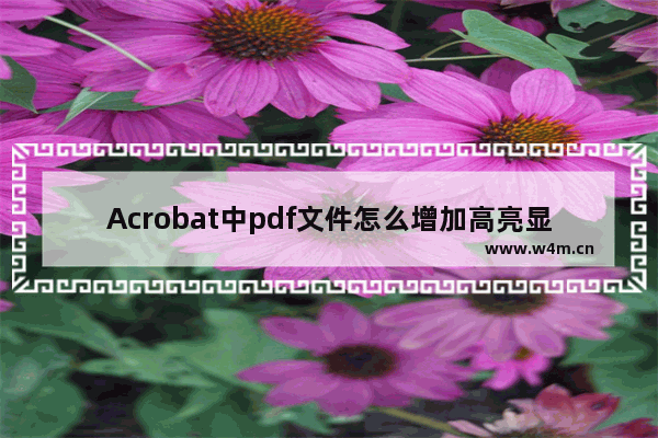 Acrobat中pdf文件怎么增加高亮显示?