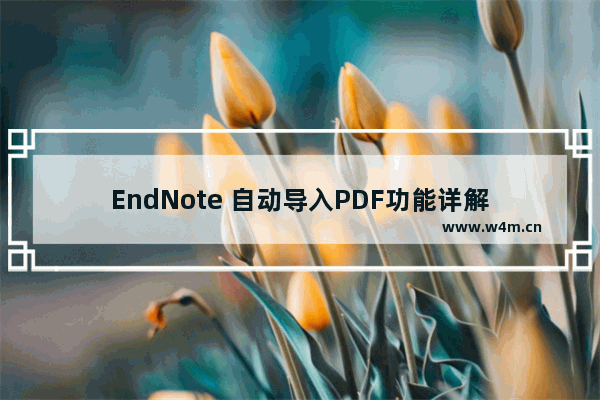 EndNote 自动导入PDF功能详解