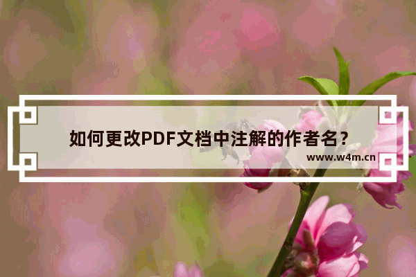 如何更改PDF文档中注解的作者名？