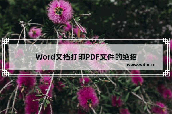 Word文档打印PDF文件的绝招