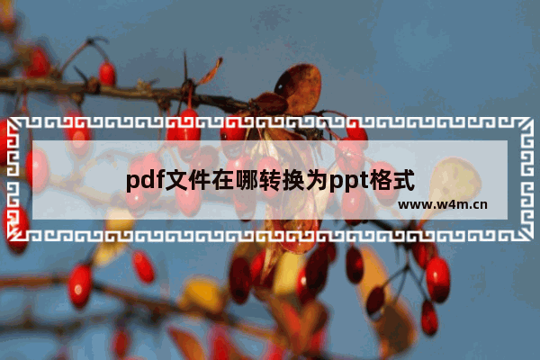 pdf文件在哪转换为ppt格式