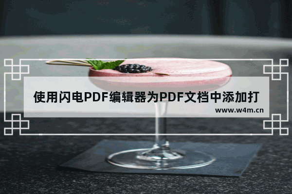 使用闪电PDF编辑器为PDF文档中添加打√的方框方法