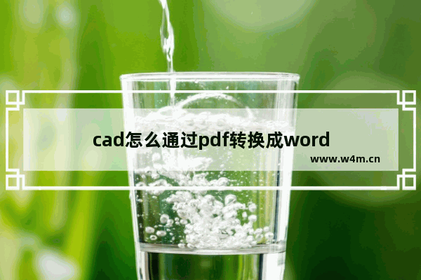 cad怎么通过pdf转换成word