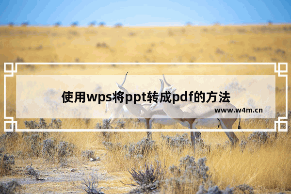 使用wps将ppt转成pdf的方法