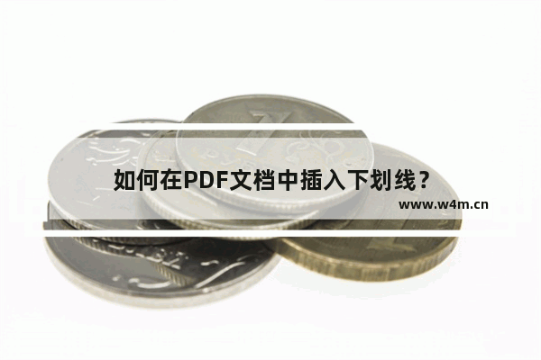 如何在PDF文档中插入下划线？