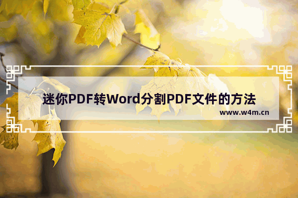 迷你PDF转Word分割PDF文件的方法步骤