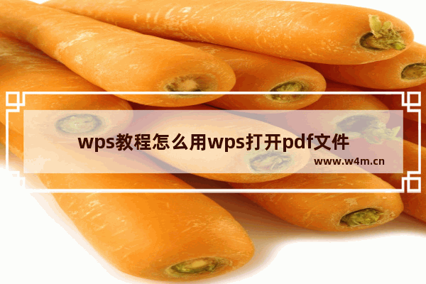 wps教程怎么用wps打开pdf文件