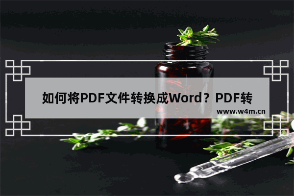 如何将PDF文件转换成Word？PDF转换成Word文档教程