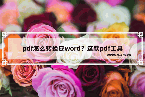 pdf怎么转换成word？这款pdf工具能满足所有转换需求，建议收藏