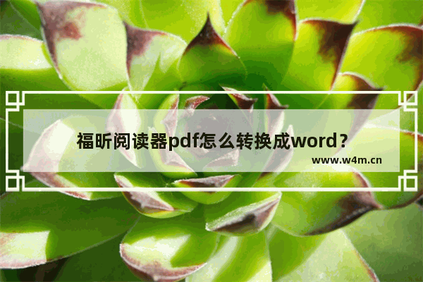 福昕阅读器pdf怎么转换成word？