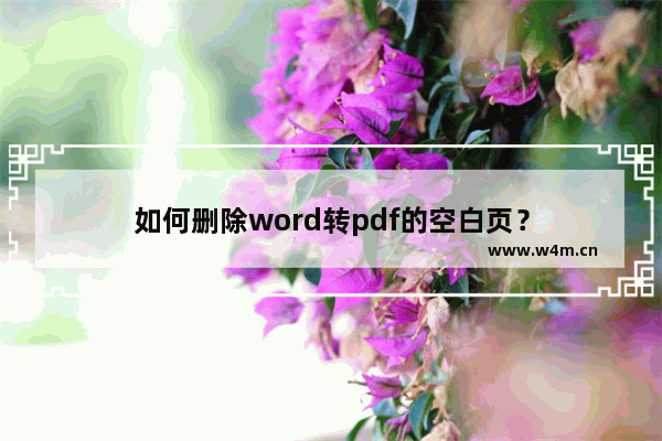 如何删除word转pdf的空白页？