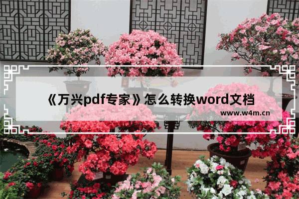 《万兴pdf专家》怎么转换word文档