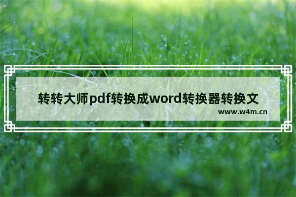 转转大师pdf转换成word转换器转换文件格式的方法