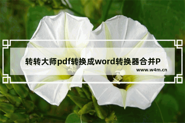 转转大师pdf转换成word转换器合并PDF的方法