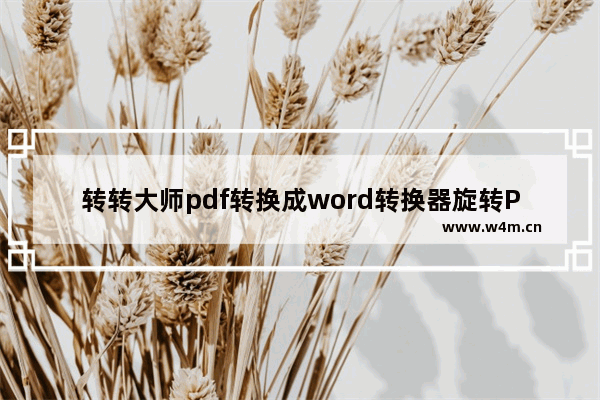 转转大师pdf转换成word转换器旋转PDF的方法