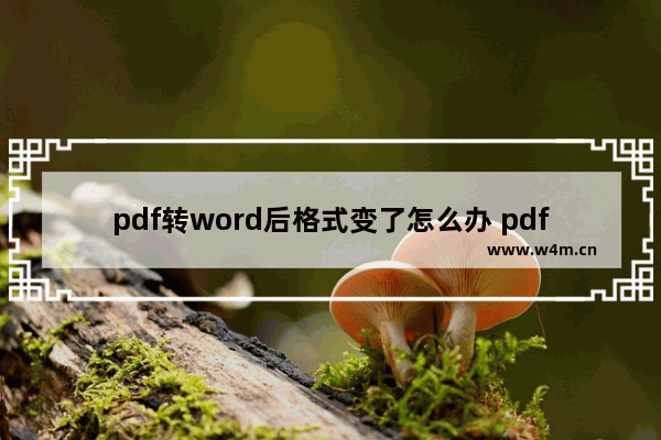 pdf转word后格式变了怎么办 pdf转word格式乱了怎么调整