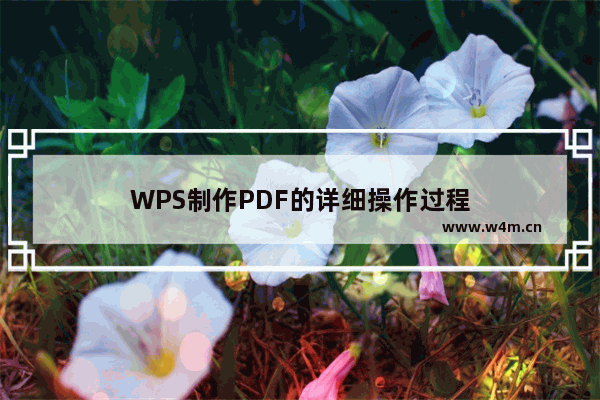 WPS制作PDF的详细操作过程