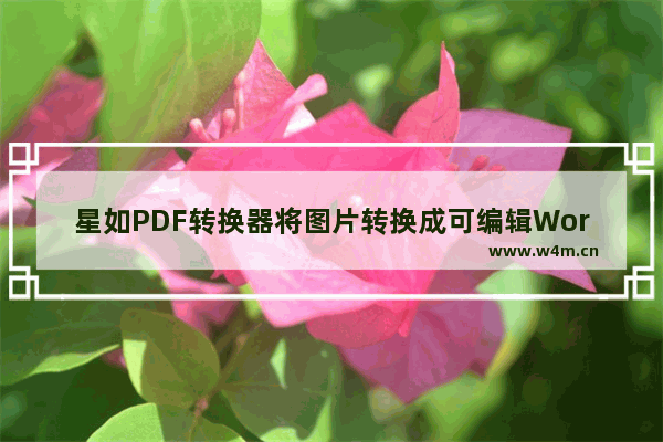 星如PDF转换器将图片转换成可编辑Word文件的方法