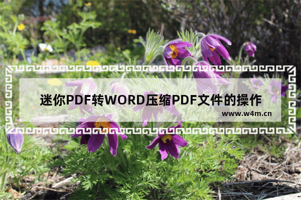 迷你PDF转WORD压缩PDF文件的操作方法