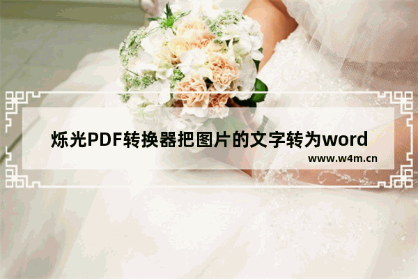 烁光PDF转换器把图片的文字转为word文档的操作方法