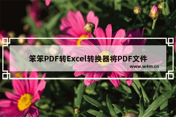 笨笨PDF转Excel转换器将PDF文件转换成Excel文件的方法