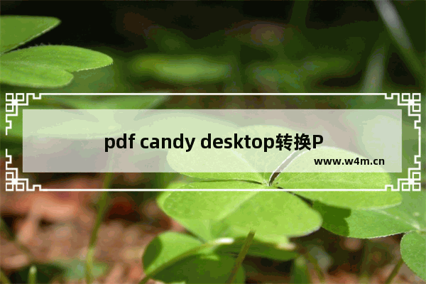 pdf candy desktop转换PDF为Word文件的方法