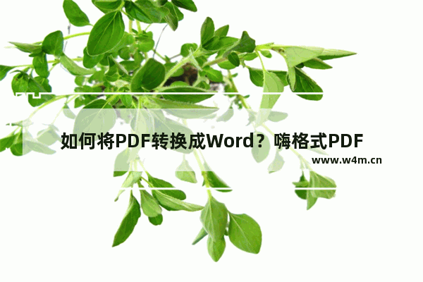 如何将PDF转换成Word？嗨格式PDF转换器一招帮你解决！