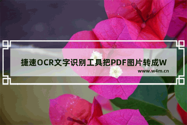 捷速OCR文字识别工具把PDF图片转成Word文字的详细操作