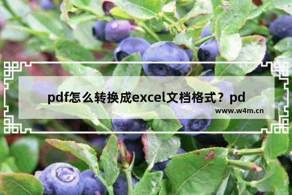 pdf怎么转换成excel文档格式？pdf格式转换成excel格式教程