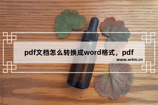 pdf文档怎么转换成word格式，pdf转word的方法