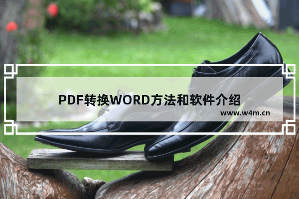 PDF转换WORD方法和软件介绍