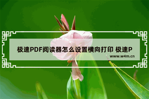 极速PDF阅读器怎么设置横向打印 极速PDF阅读器设置横向打印的方法