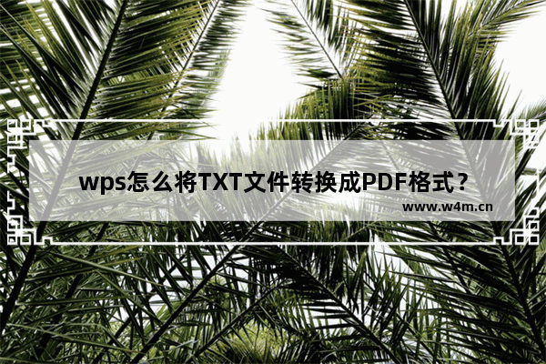 wps怎么将TXT文件转换成PDF格式？