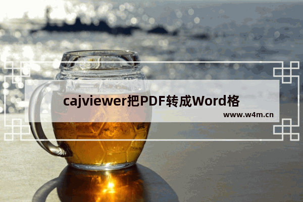 cajviewer把PDF转成Word格式的操作流程