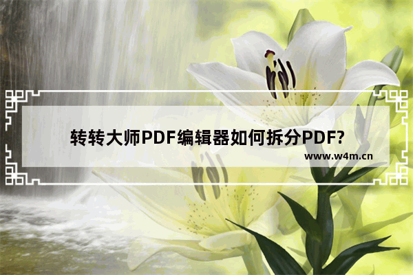 转转大师PDF编辑器如何拆分PDF?