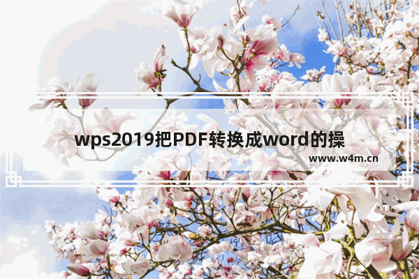 wps2019把PDF转换成word的操作教程