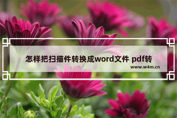 怎样把扫描件转换成word文件 pdf转word图文教程