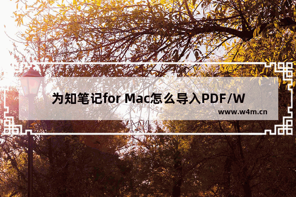 为知笔记for Mac怎么导入PDF/Word？