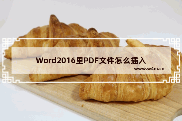 Word2016里PDF文件怎么插入