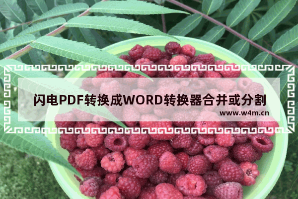 闪电PDF转换成WORD转换器合并或分割PDF文件的详细操作教程