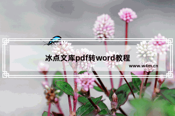 冰点文库pdf转word教程