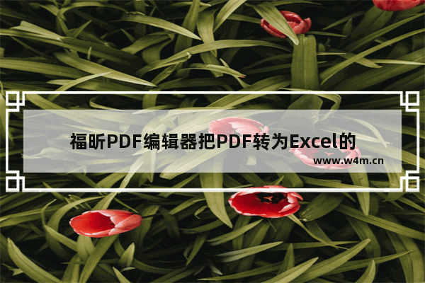 福昕PDF编辑器把PDF转为Excel的详细教程